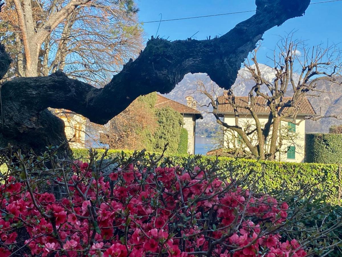 Villa Magnolia - Lake Como レンノ エクステリア 写真